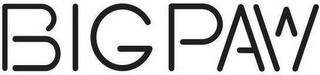 BIG PAW logo