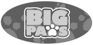 BIG PAWS logo