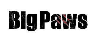 BIG PAWS logo