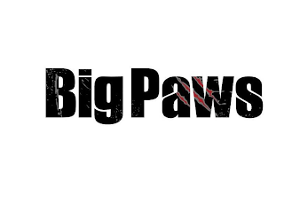 BIG PAWS logo