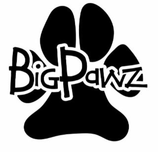 BIG PAWZ logo
