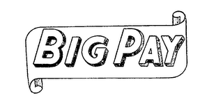 BIG PAY logo