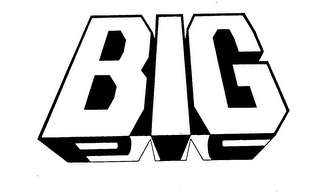 BIG PIC logo