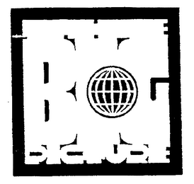 BIG PICTURE logo
