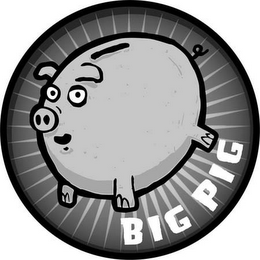 BIG PIG logo