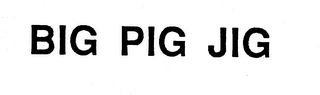 BIG PIG JIG logo
