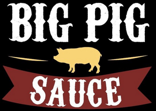 BIG PIG SAUCE logo