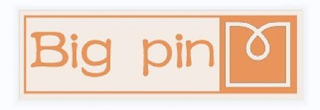 BIG PIN logo