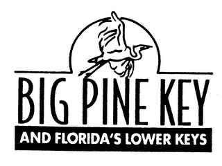 BIG PINE KEY AND FLORIDA'S LOWER KEYS logo