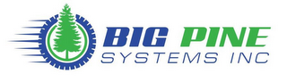 BIG PINE SYSTEMS INC logo
