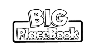 BIG PLACEBOOK logo