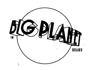BIG PLANET BRAND logo