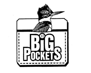 BIG POCKETS logo