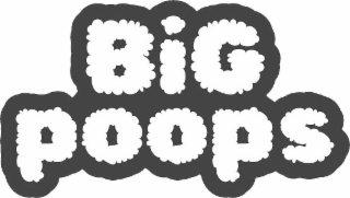 BIG POOPS logo