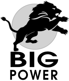 BIG POWER logo