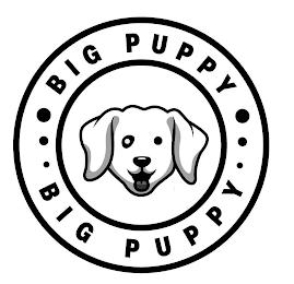 BIG PUPPY logo