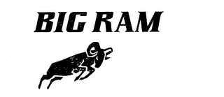 BIG RAM logo