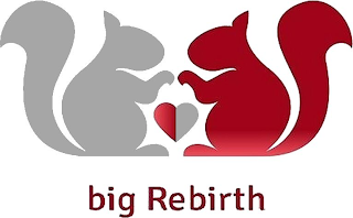 BIG REBIRTH logo