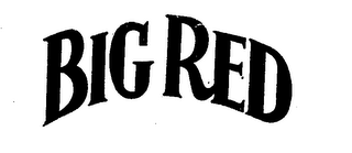 BIG RED logo