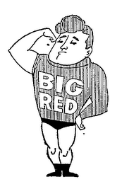 BIG RED logo