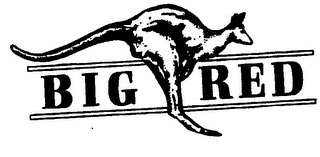 BIG RED logo