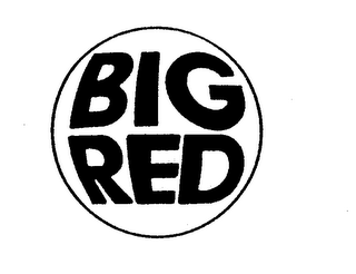 BIG RED logo