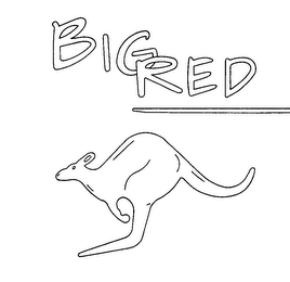 BIG RED logo