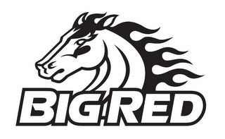 BIG RED logo