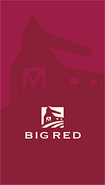 BIG RED logo