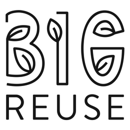 BIG REUSE logo