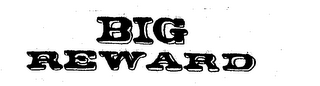 BIG REWARD logo