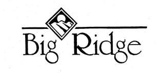 BIG RIDGE logo