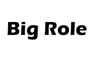 BIG ROLE logo