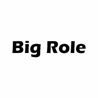 BIG ROLE logo