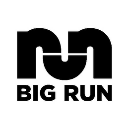 BIG RUN logo