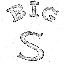 BIG S logo