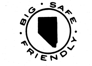 BIG SAFE FRIENDLY logo