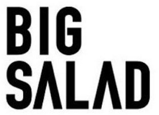 BIG SALAD logo