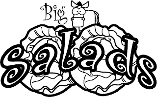 BIG SALADS logo