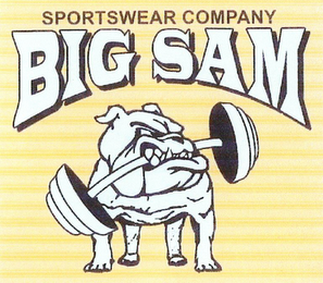 BIG SAM SPORTSWEAR COMPANY logo