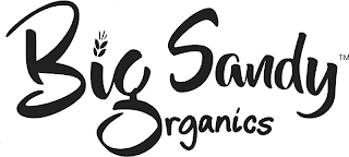 BIG SANDY ORGANICS logo