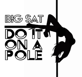 BIG SAT DO IT ON A POLE logo