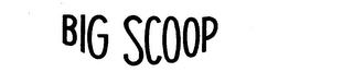 BIG SCOOP logo