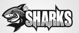 BIG SHARKS