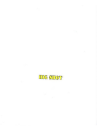 BIG SHOT logo
