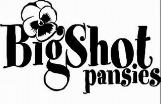 BIG SHOT PANSIES logo