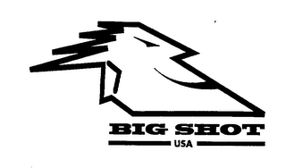 BIG SHOT USA logo