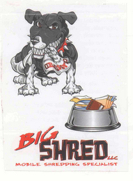 BIG SHRED LLC MOBILE SHREDDING SPECIALIST logo