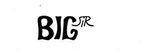 BIG SIR logo