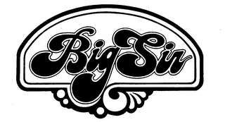 BIG SIR logo